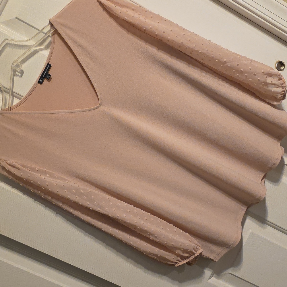 Light Pink V-Neck Long Sleeve Blouse - Women's Top
